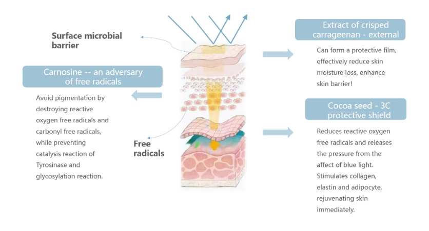 NOX BELLCOW-Cosmetics Manufacturer-what Sunburn Remedies Actually Work