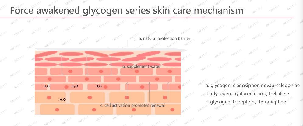 professionalskin productsmolecular supplier for skincare